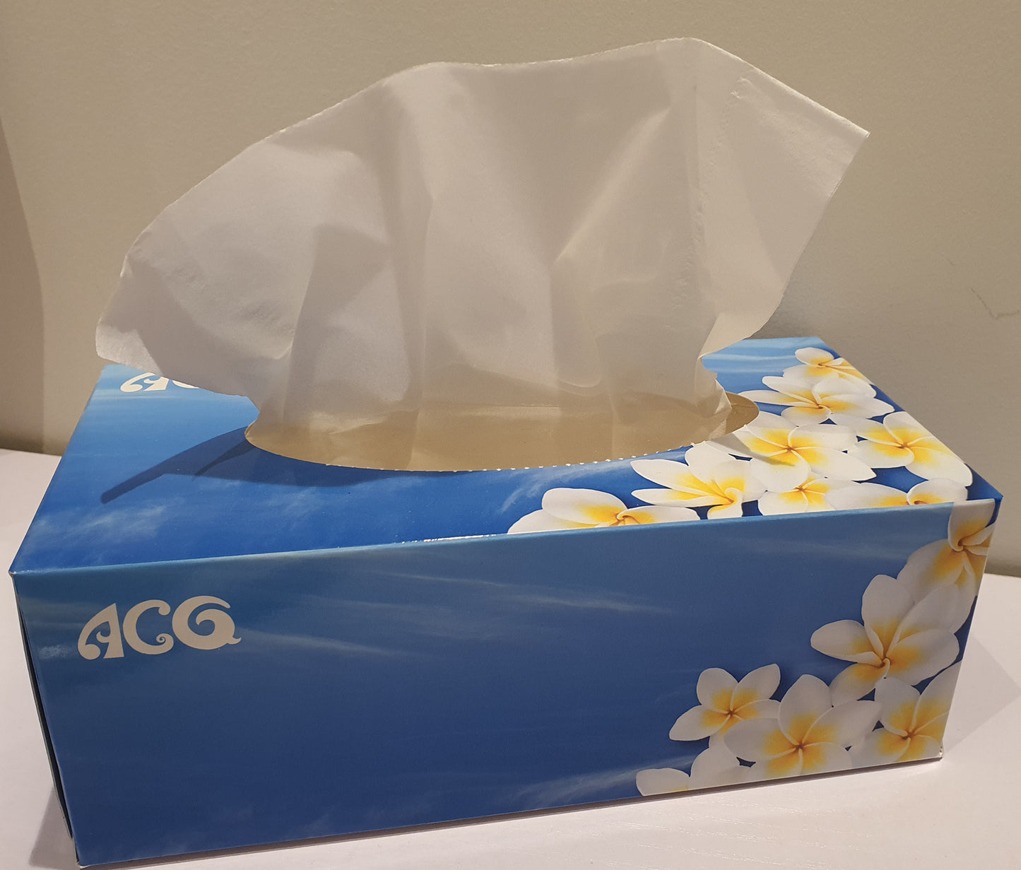 Tissue Box (20×18cm, 180 Sheets)