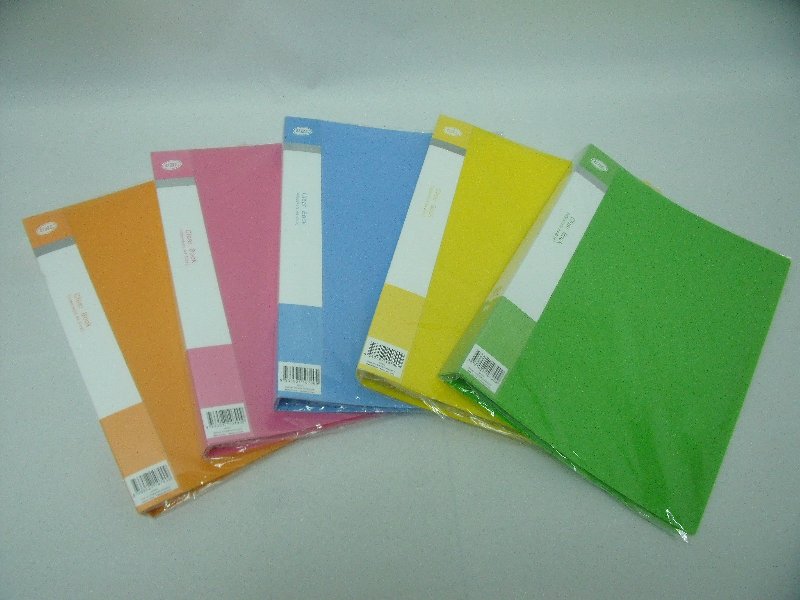 Display Folder 40 Pockets