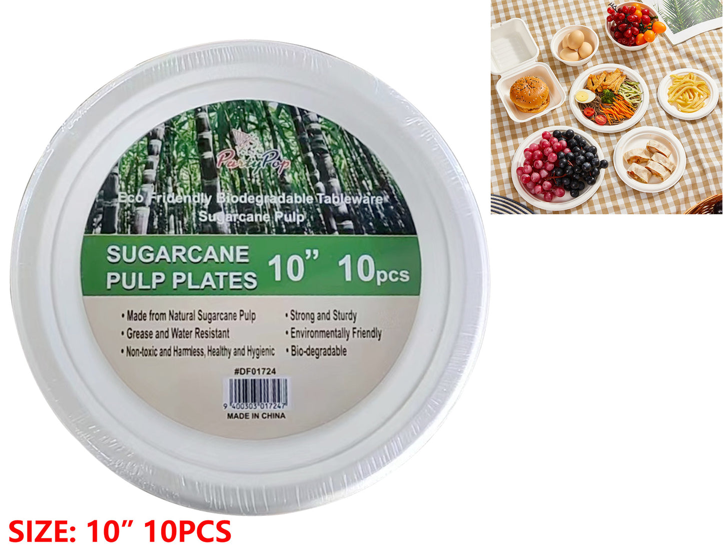 Sugarcane Pulp Plates 10"-pack of 10